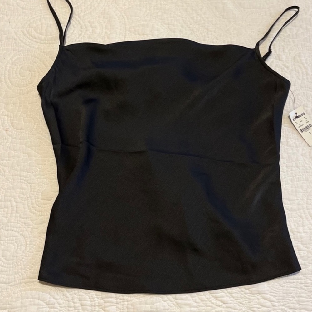 Brand New Express Blouse